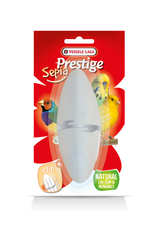 Os de seiche minéral