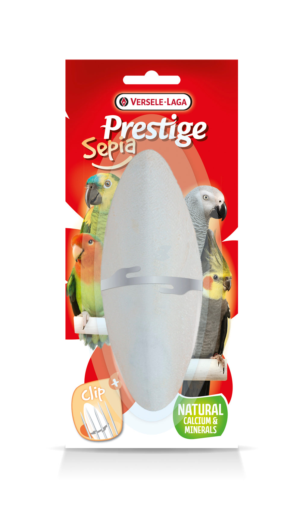 Os de seiche minéral