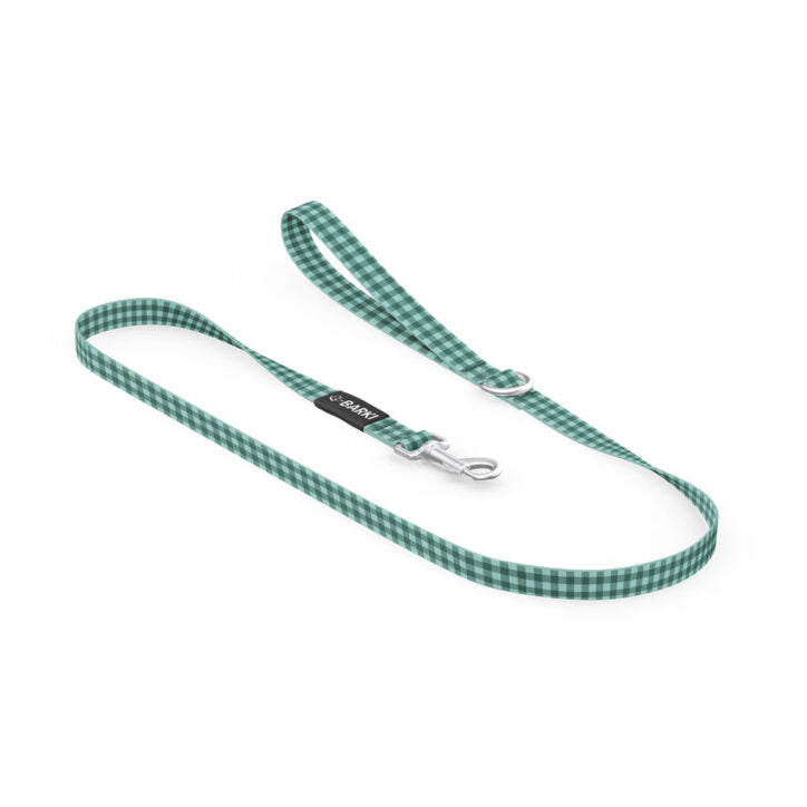 Laisse pour chien en polyester