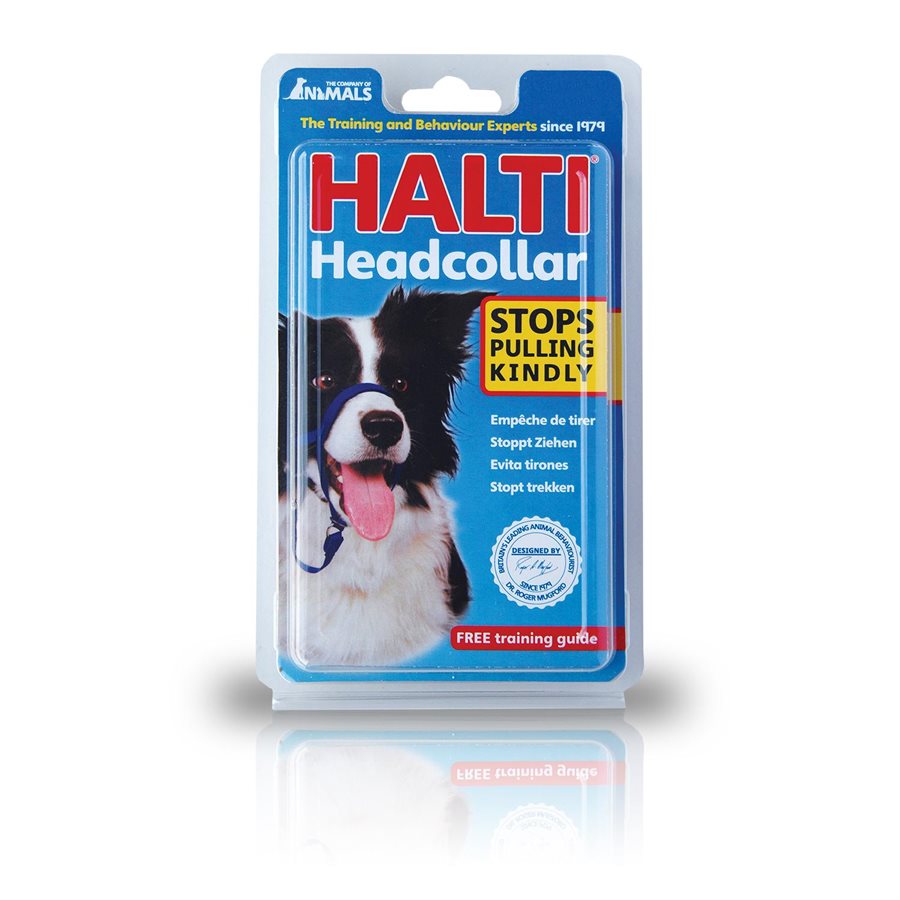 Licou Halti noir - licou pour chien