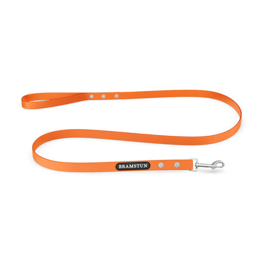 Laisse imperméable pour chien orange