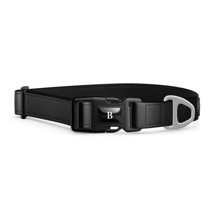 Collier pour chien