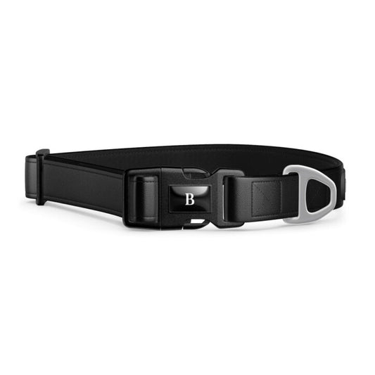 Collier pour chien