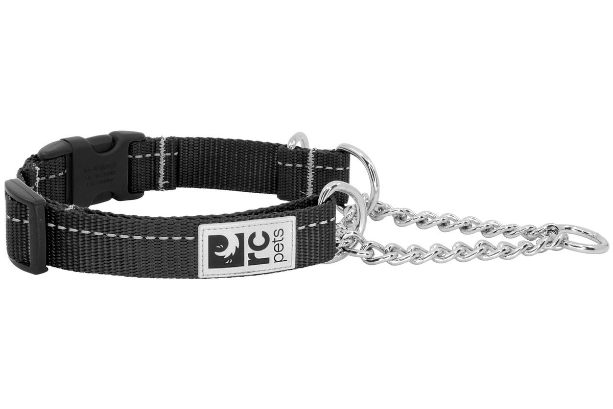 Collier de dressage de base