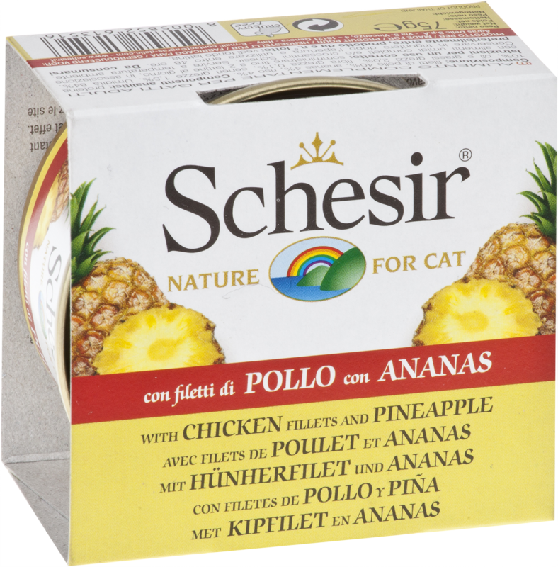 Fruits - nourriture humide pour chat