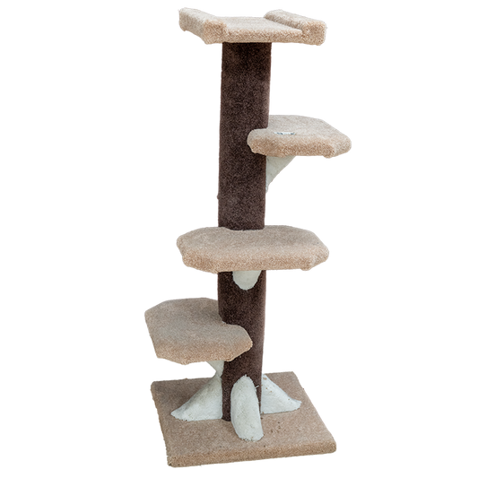 Condo 4 tablettes 127,5 cm (51 po) - arbre à chat