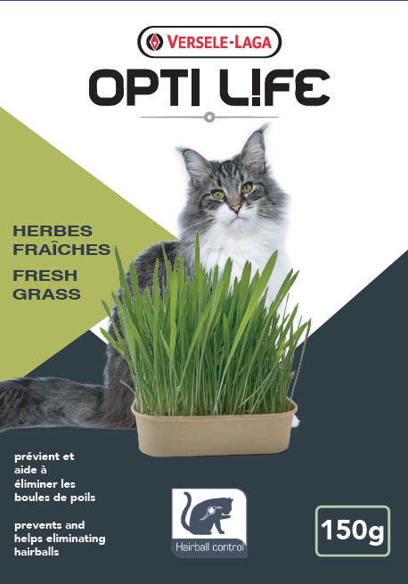Herbe fraîche 150 g - herbe à chat