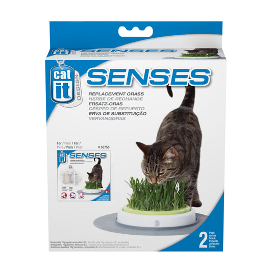 Semences de rechange pour jardin d'herbe Senses (paquet de 2)
