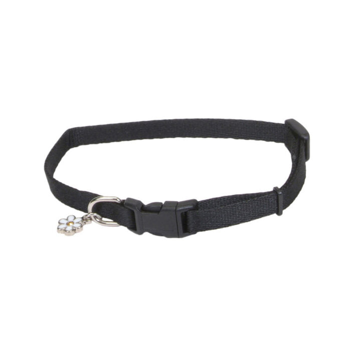 Collier ajustable en nylon pour chiot - Coastal