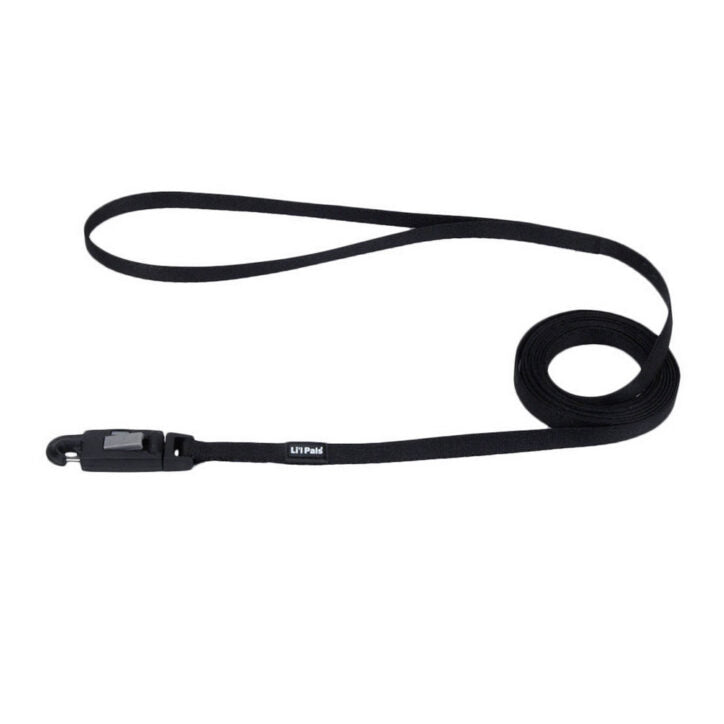 Laisse en nylon pour chiot 3/8 po x 6 pi