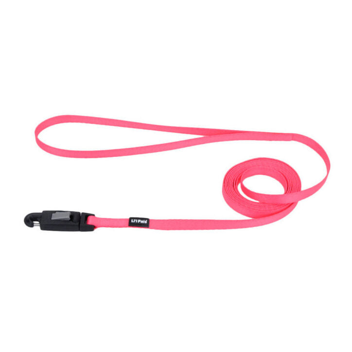 Laisse en nylon pour chiot 3/8 po x 6 pi Coastal