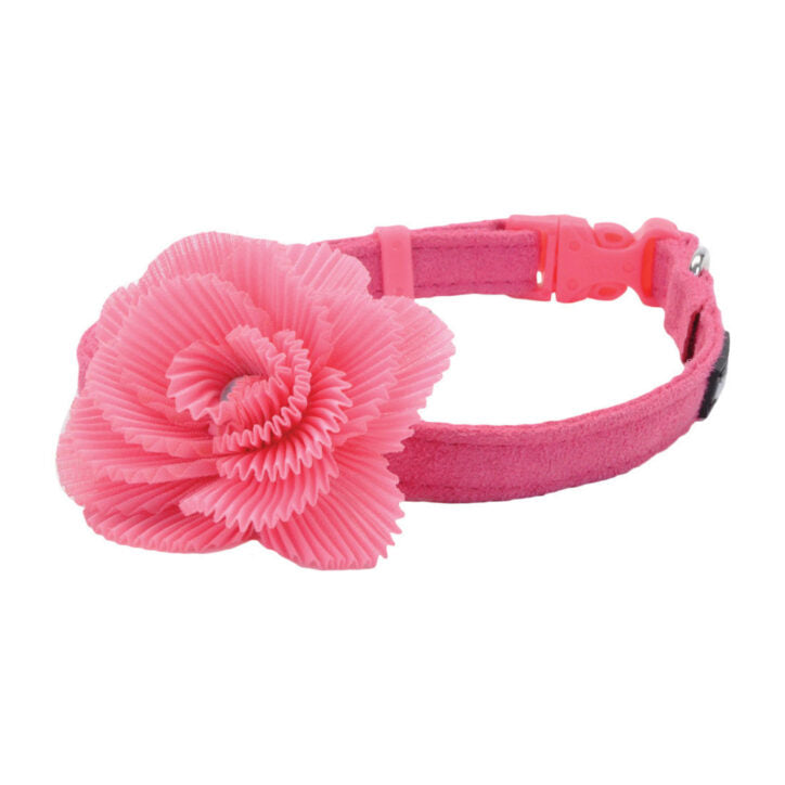 Collier en microsuède pour chiot