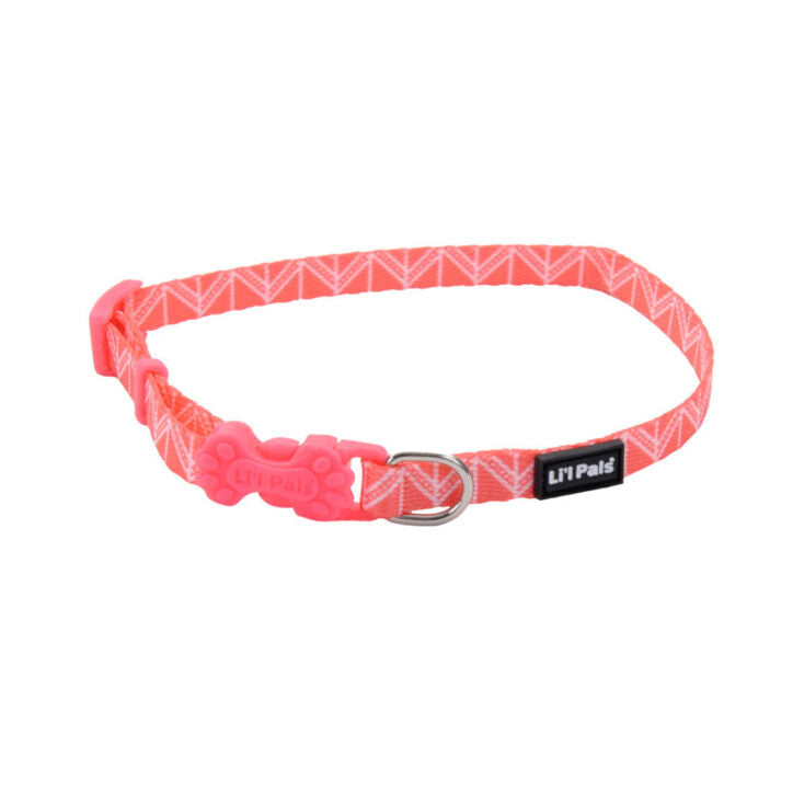Collier ajustable pour chien Li'l Pals