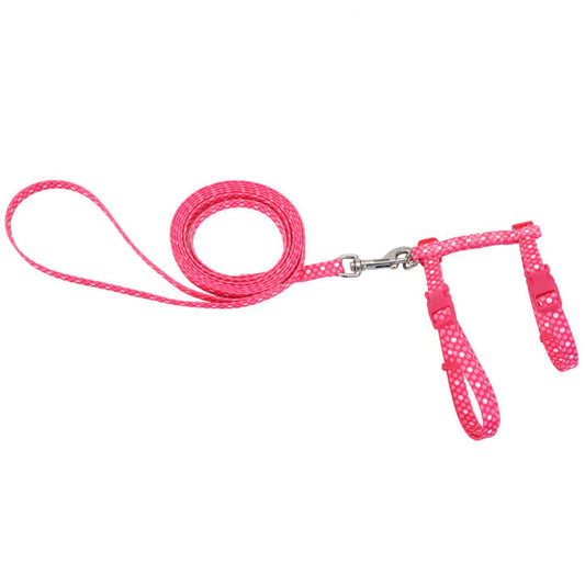 Ensemble harnais et laisse pour chat 3/8 po x 10-18 po