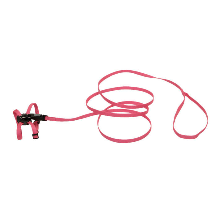 Ensemble harnais ajustable et laisse pour chaton Li'l Pals