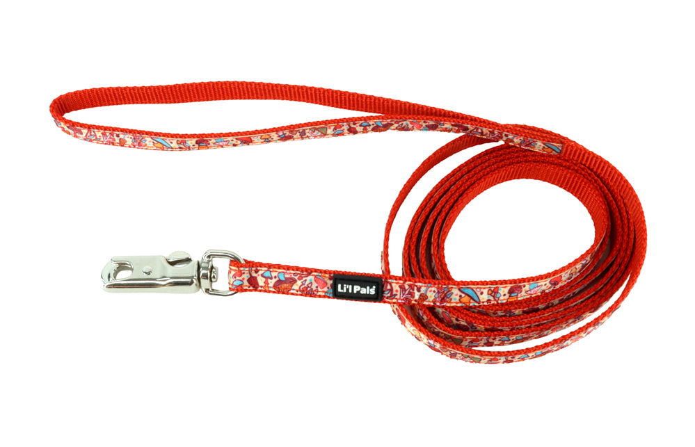 Laisse Li'l Ribbon avec breloque 3/8 po x 6 pi