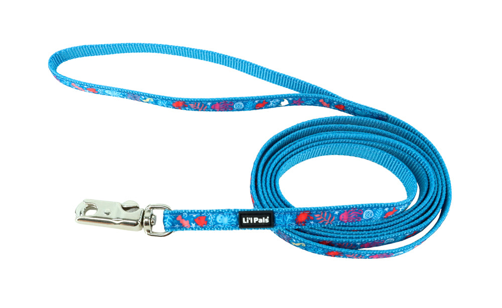 Laisse Li'l Ribbon avec breloque 3/8 po x 6 pi