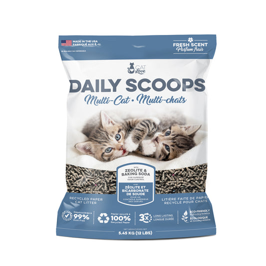 Litière de papier recyclé Daily Scoops Multi-chats, parfumée