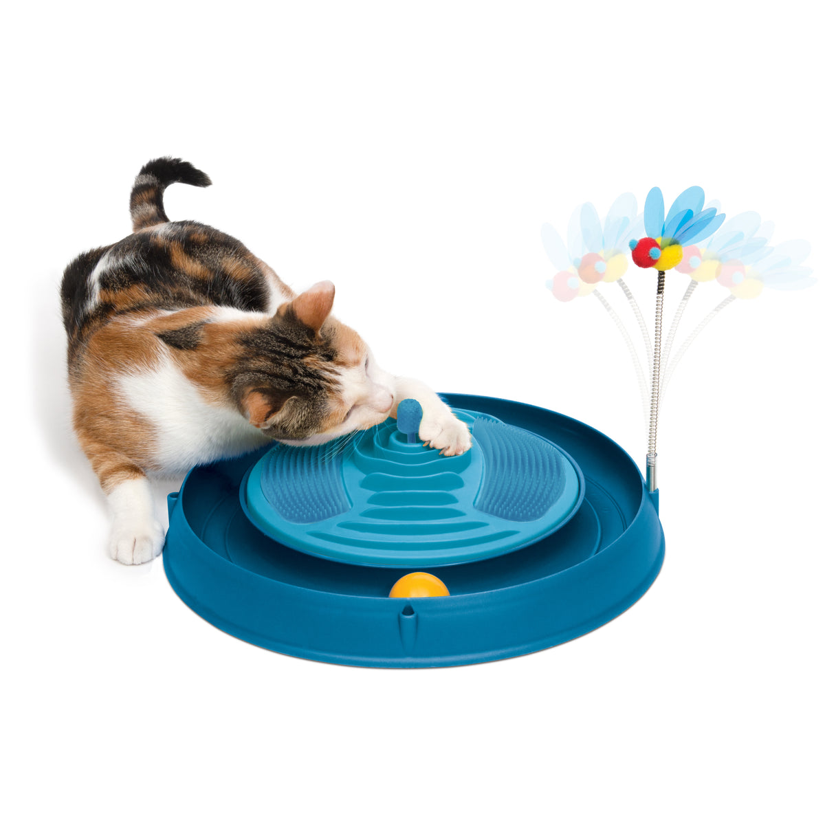 Circuit 3 en 1 avec balle, bandes de massage et herbe à chat Play, bleu, 36 cm