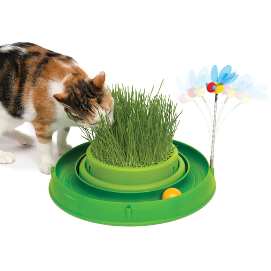Circuit 3 en 1 avec balle et jardinière d'herbe Play, vert, 36 cm