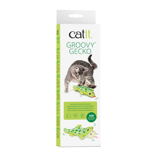 Jouet Groovy avec herbe à chat, gecko, vert