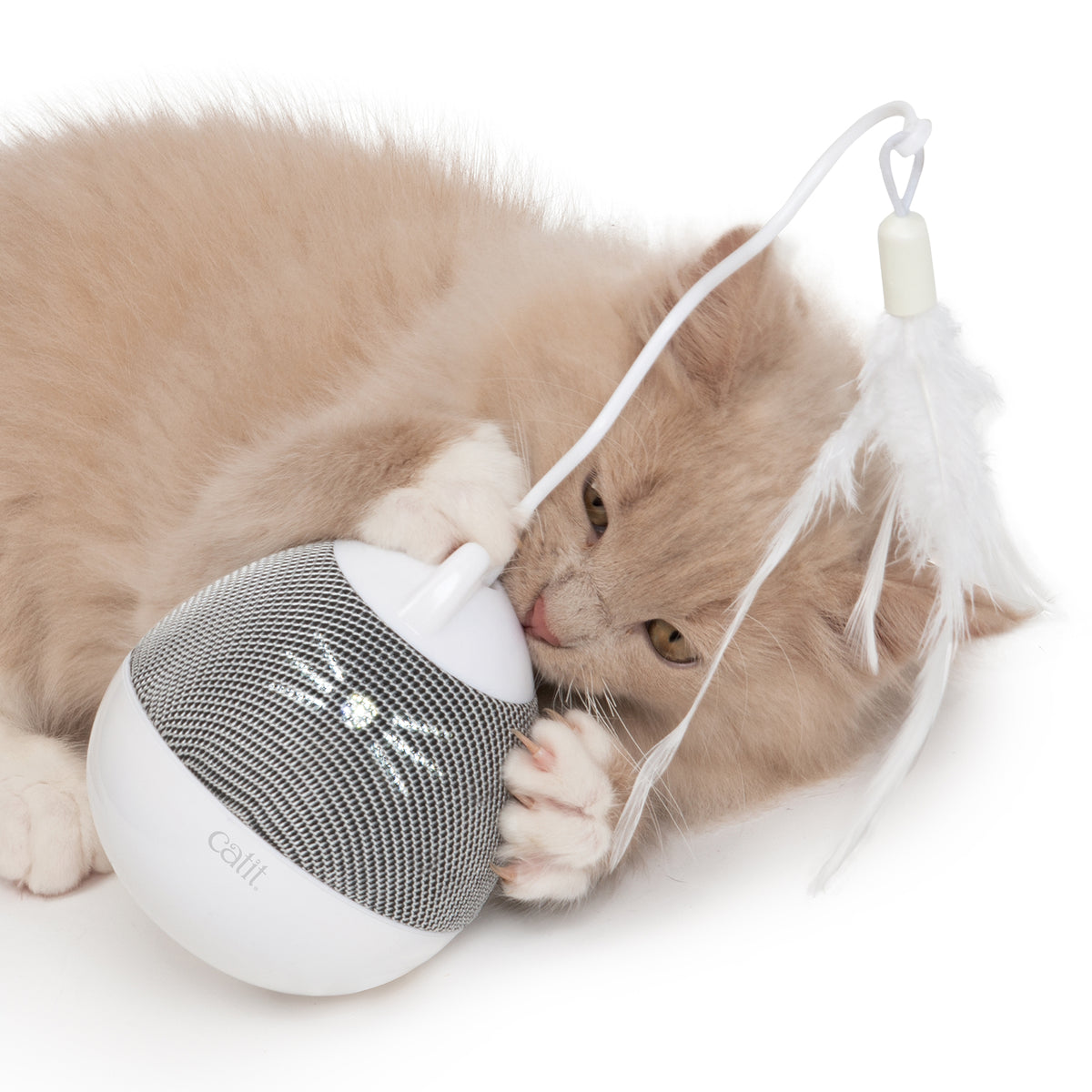 Toupie électronique PIXI pour chats
