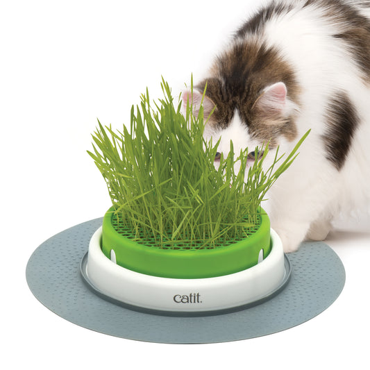 Jardinière d'herbe Senses 2.0