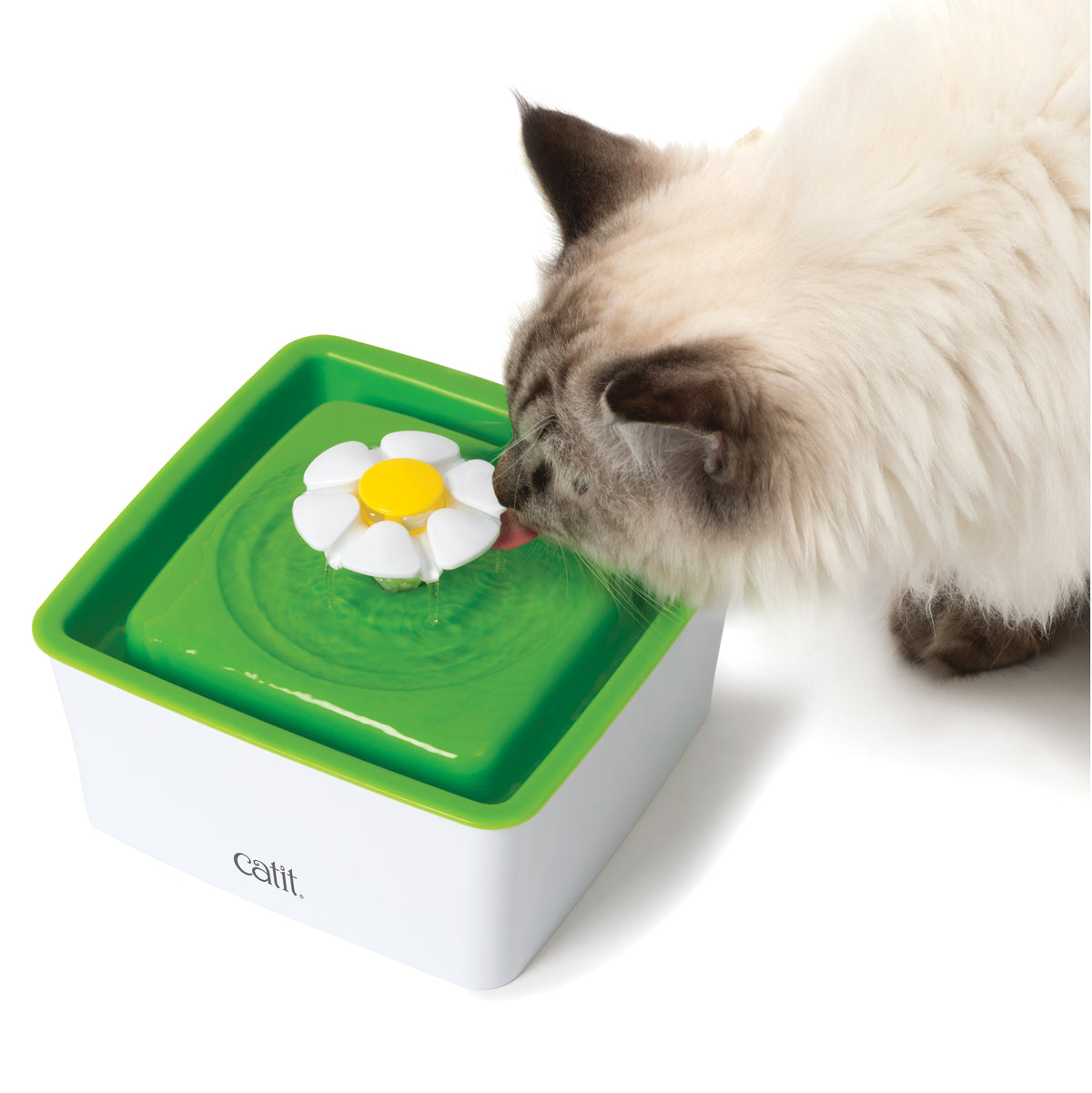 Abreuvoir avec fleur mini 1,5 L