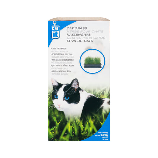 Herbe pour chats 85 g