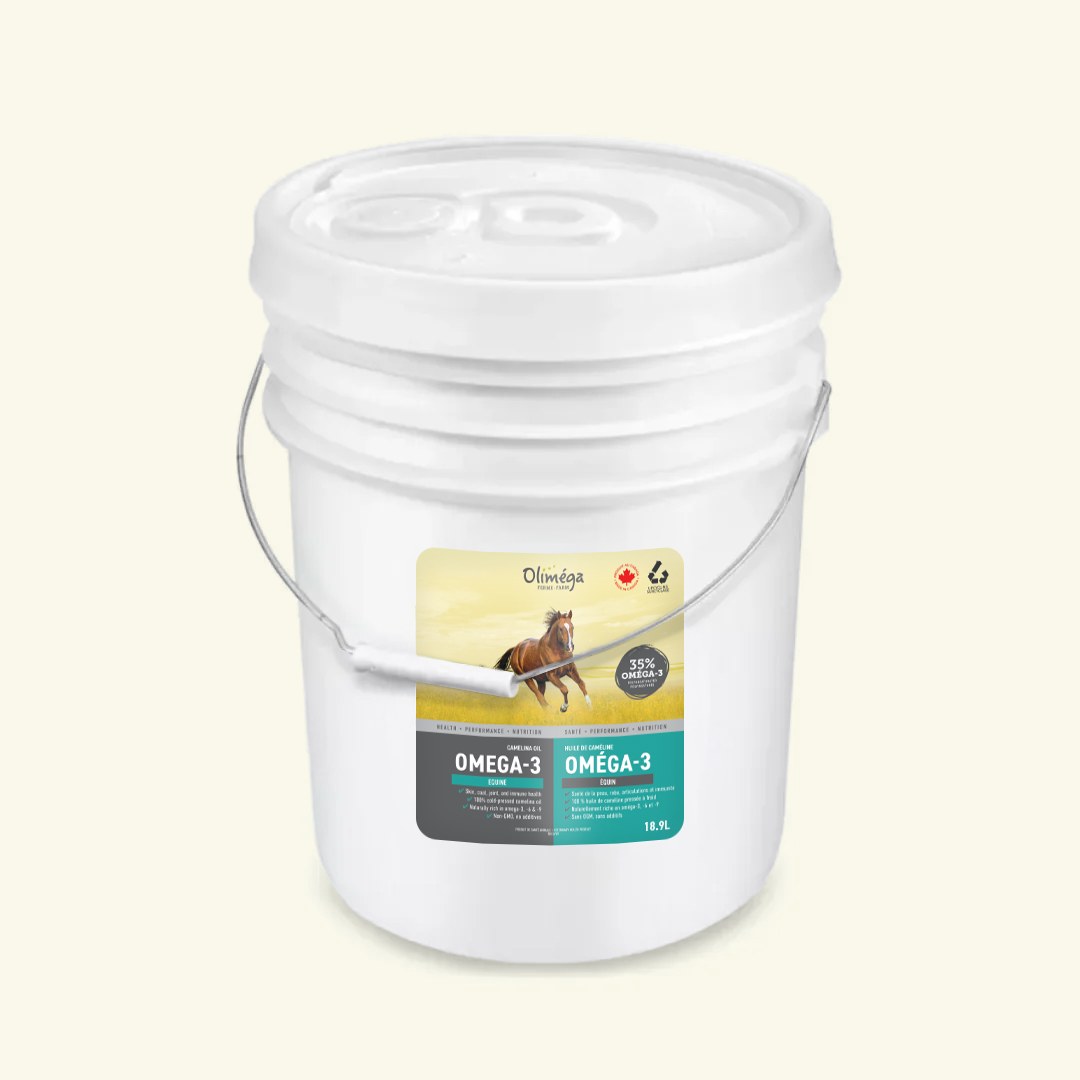 Huile de cameline pour chevaux Olimega