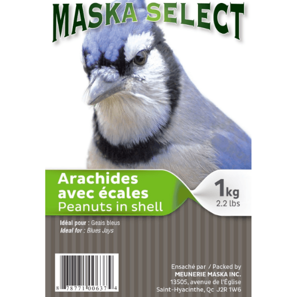Arachides en écales pour oiseau sauvage - Maska
