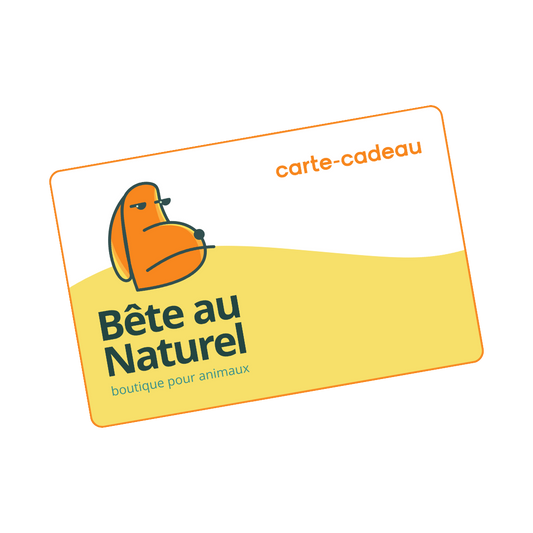 Carte-cadeau numérique