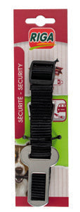 Ceinture de sécurité pour chien en voiture