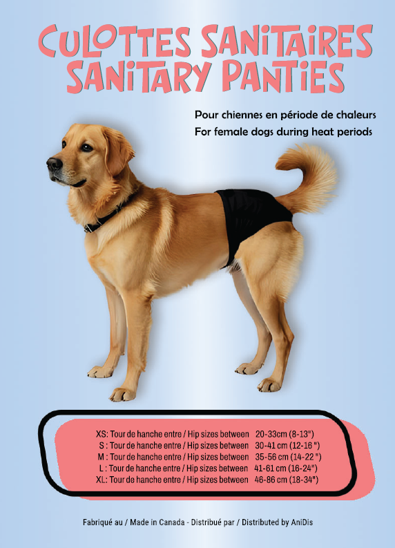 Culotte sanitaire pour chienne - Riga