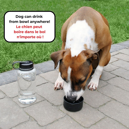 Bouteille hermétique avec bol 1 l - bouteille d'eau pour chien