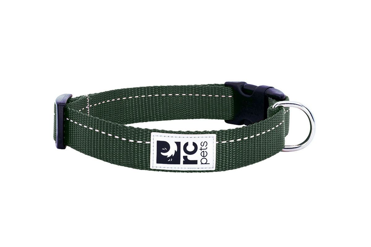 Collier de base pour chien - RC Pets