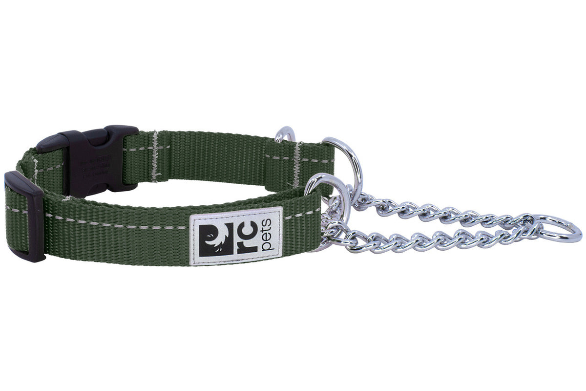 Collier de dressage de base