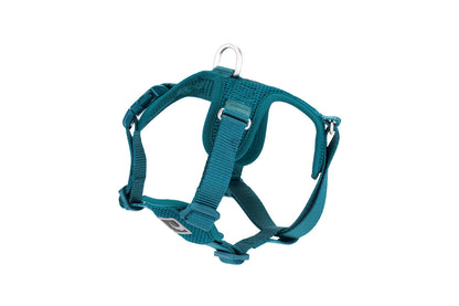 Harnais à enfiler Forte pour chien - RC Pets