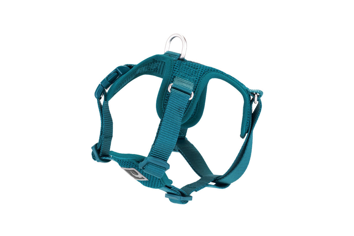 Harnais à enfiler Forte pour chien - RC Pets