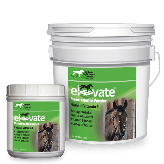 Supplément de vitamine E Elevate en poudre 907 g