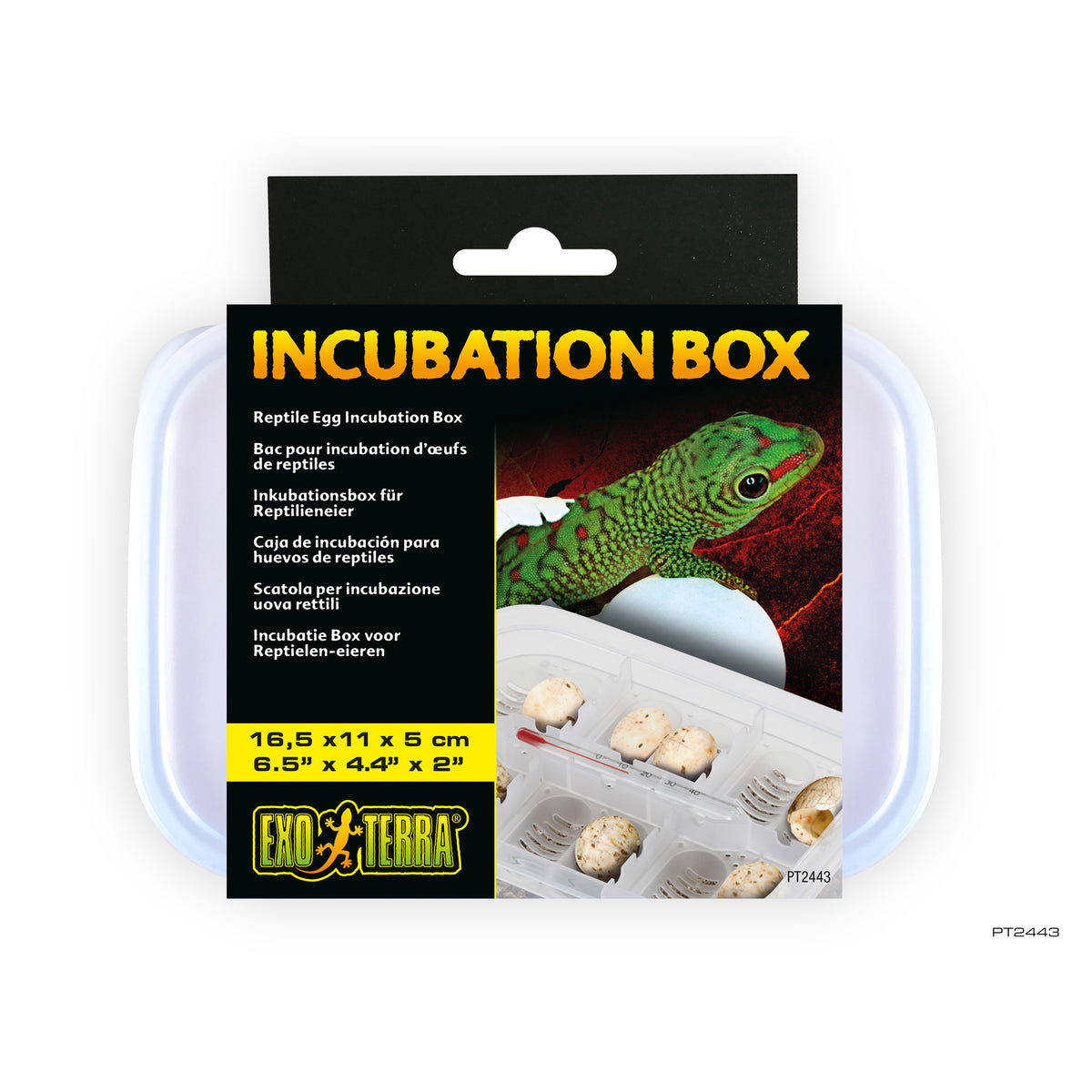 Bac pour incubation, 16,5 x 11 x 5 cm