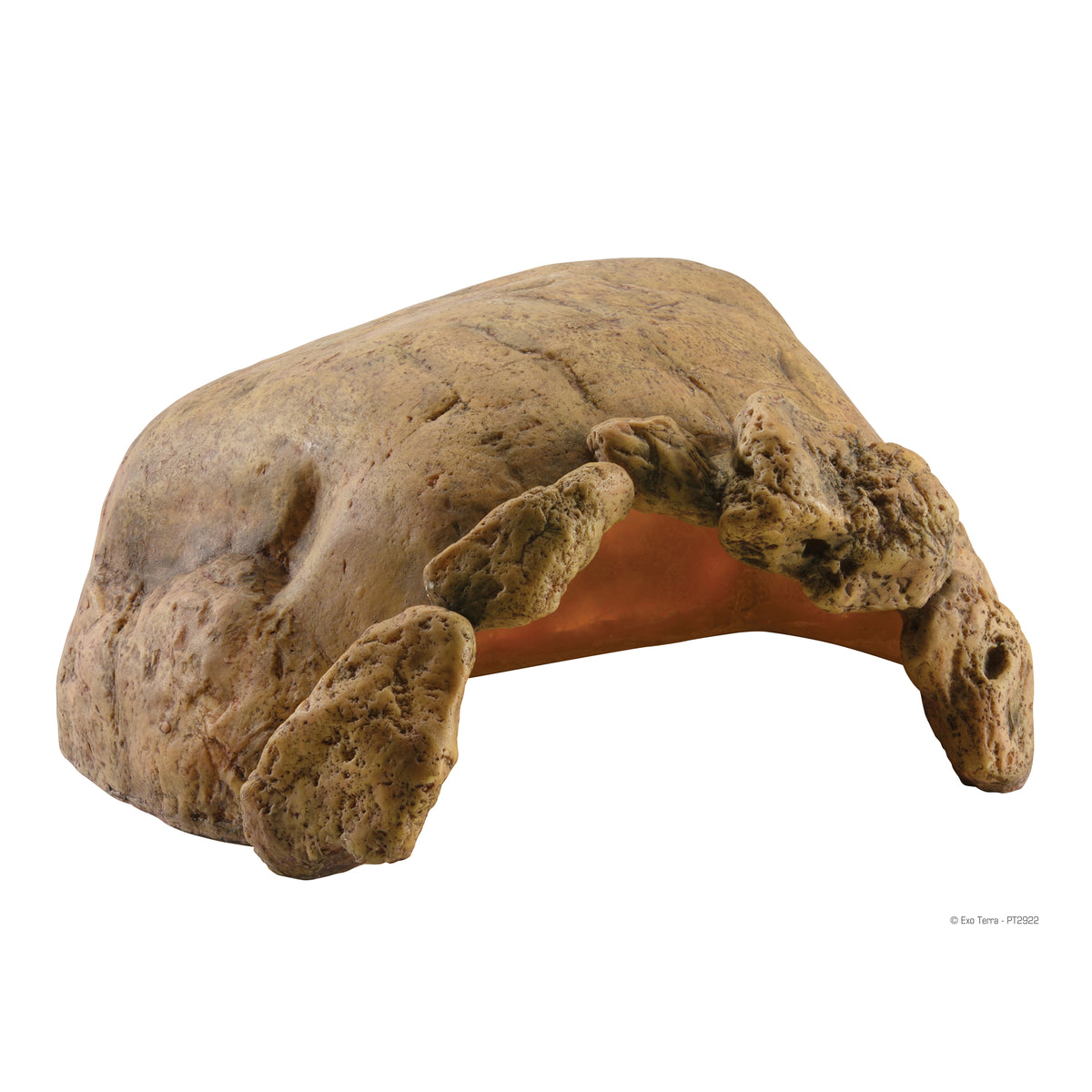 Grotte pour tortues terrestres