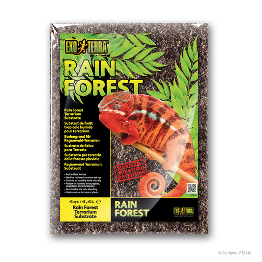 Substrat de forêt tropicale humide pour terrarium