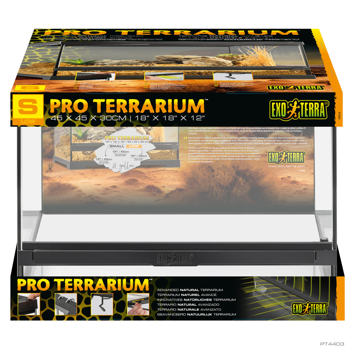 Terrarium professionnel, habitat avancé naturel