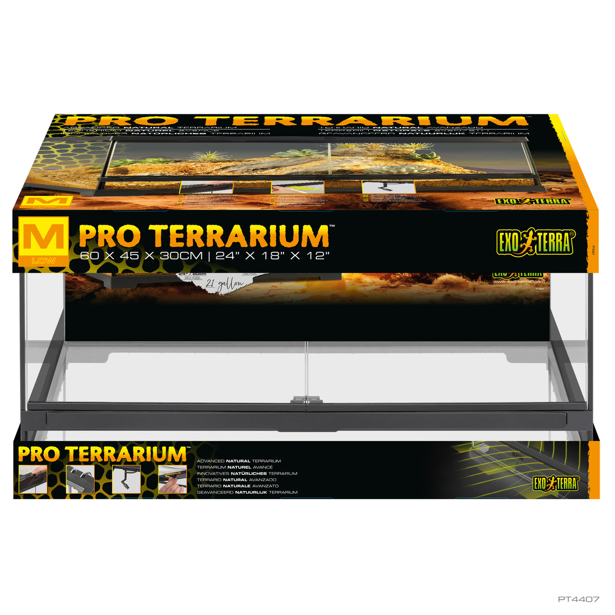Terrarium professionnel, habitat avancé naturel
