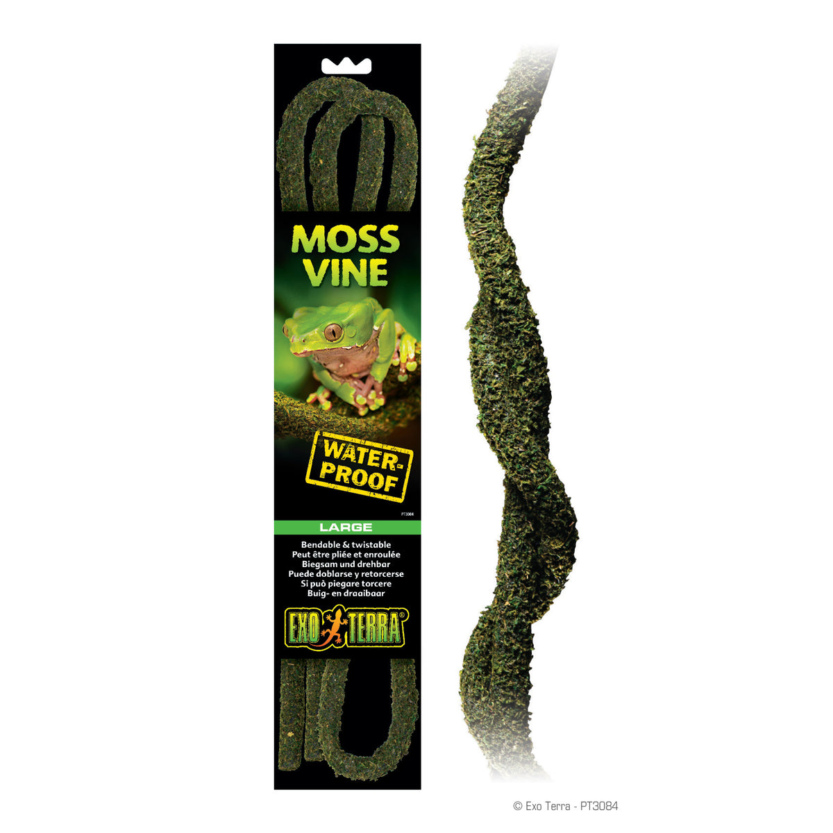 Liane de mousse Moss Vine