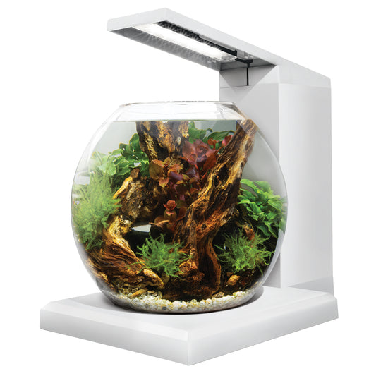Aquarium équipé LIV pour l'aménagement miniature, 33 x 31,75 cm