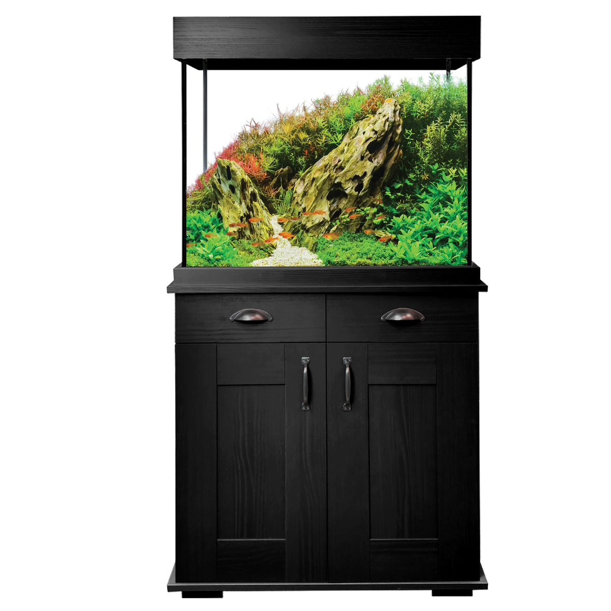 Aquarium équipé Shaker