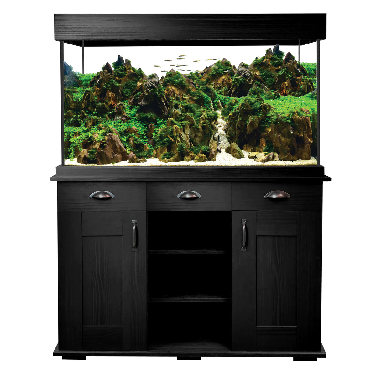 Aquarium équipé Shaker