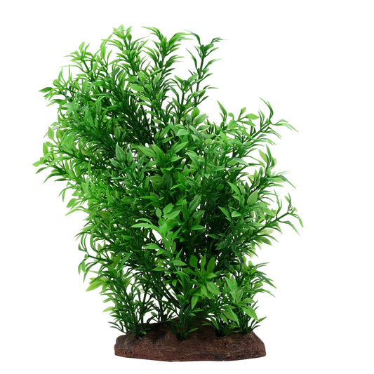 Helxine Plant Scapes Aqualife, petite, 20 cm